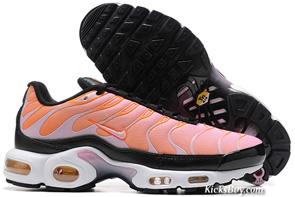 Nike Air Max TN 8909-A122